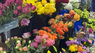 Valentine's flowers a flop? Here's some guidance