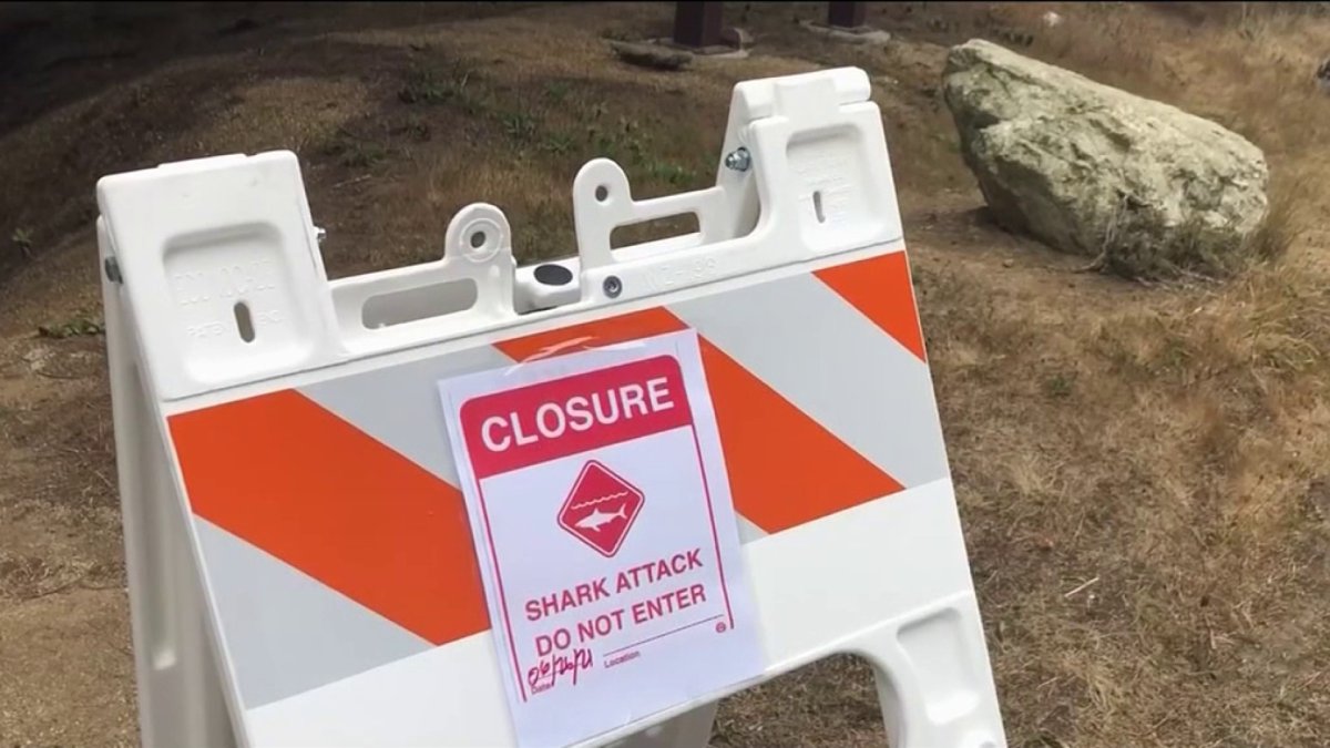 Gray Whale State Beach Closed After Shark Attack – NBC Bay Area