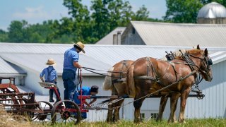 People in Amish attire prepare a horse team to work on a farm.
