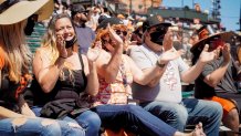 baseball fans in the bleachers clapping their hands