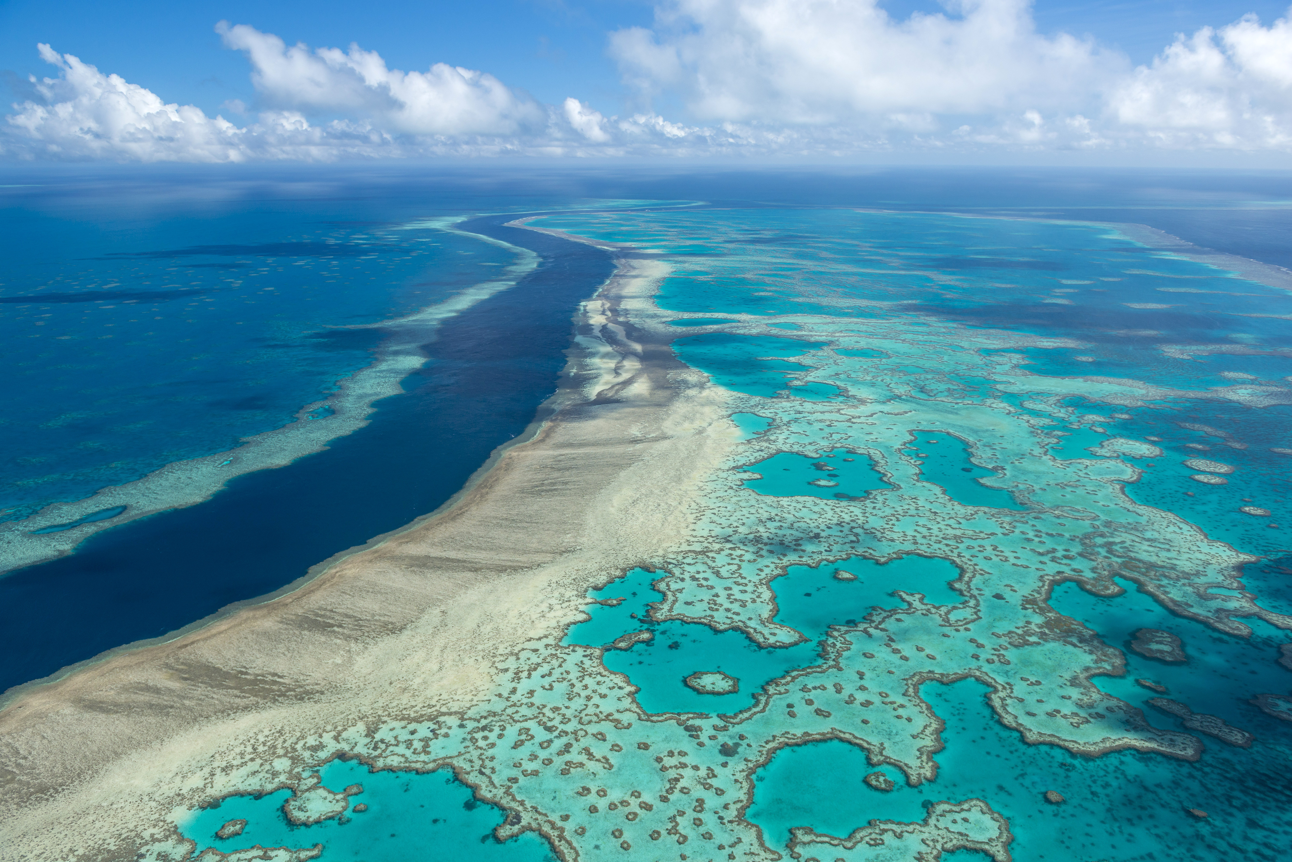Australia Avoids UNESCO Downgrade of Great Barrier Reef NBC Bay Area