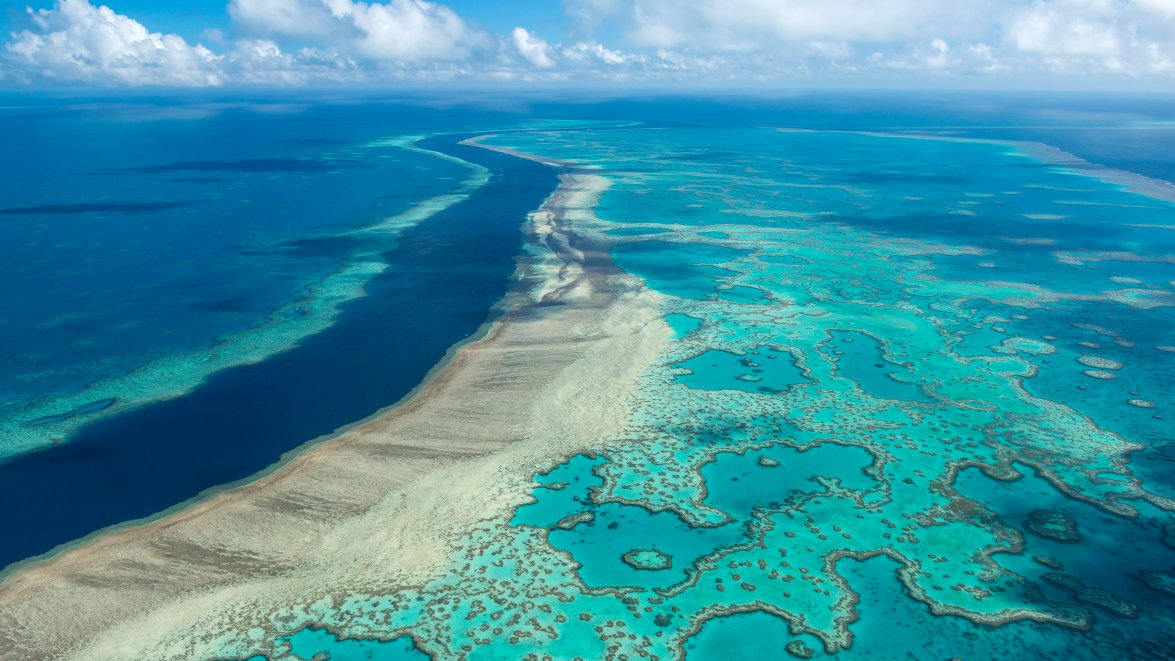 Australia Avoids UNESCO Downgrade of Great Barrier Reef NBC Bay Area