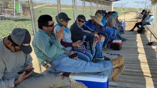 Farmworkers at Del Bosque Farms take a break from picking melons