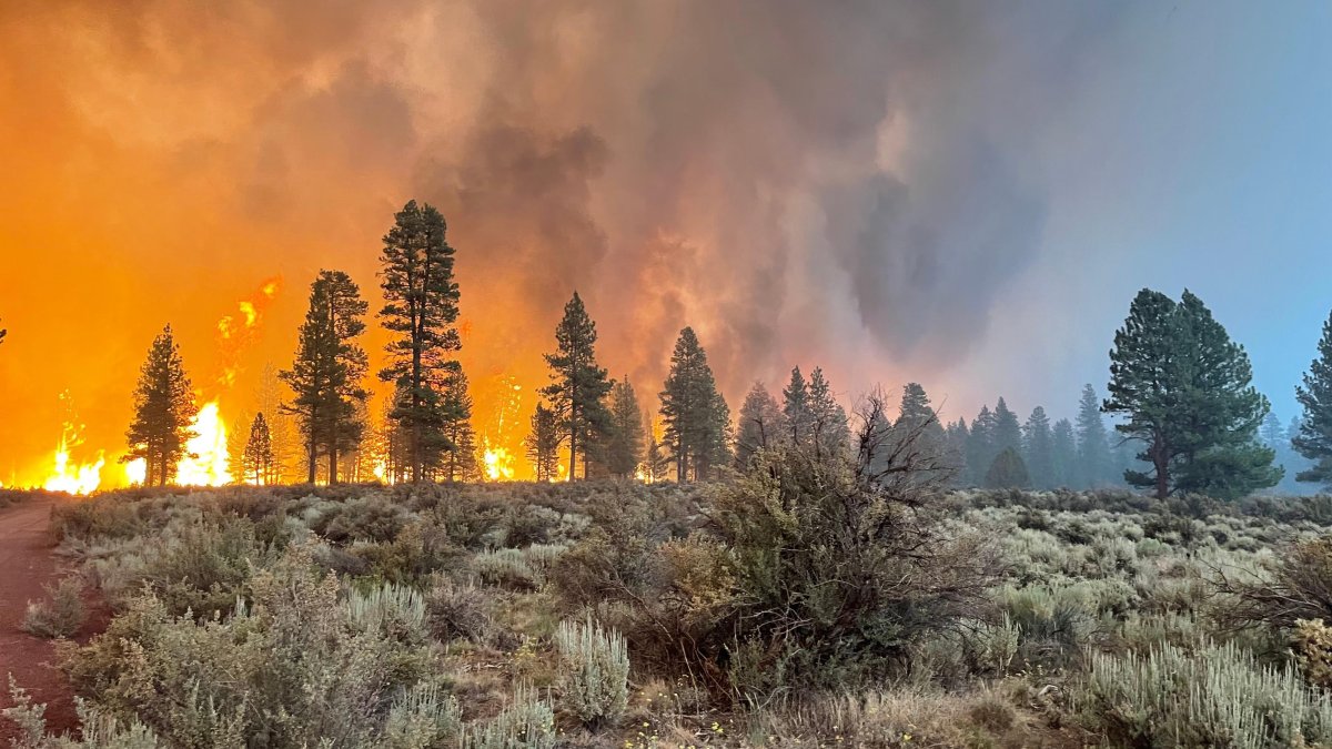 Team of East Bay Firefighters Return After Battling Bootleg Fire in