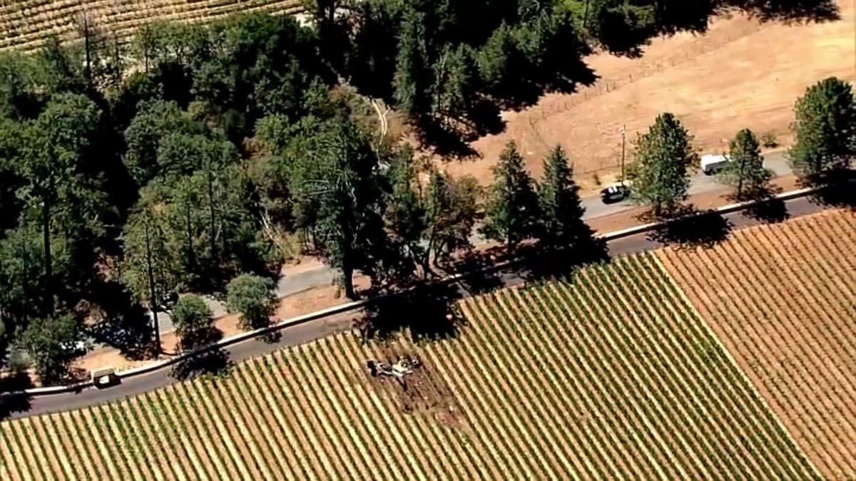 Napa County Plane Crash Victims Identified NBC Bay Area