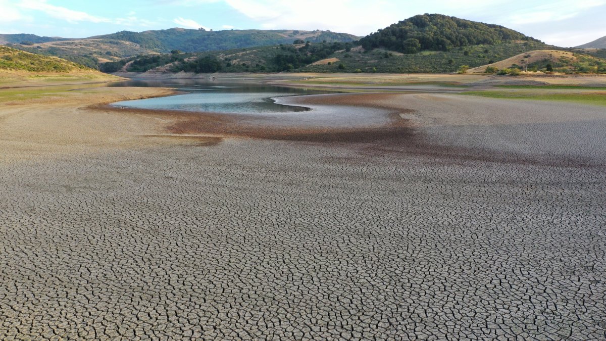 Worst Drought in 20 Years? A County-by-County Look Around the Bay Area