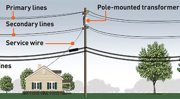 Who’s Responsible for Trimming Trees Near the Powerline on Your ...