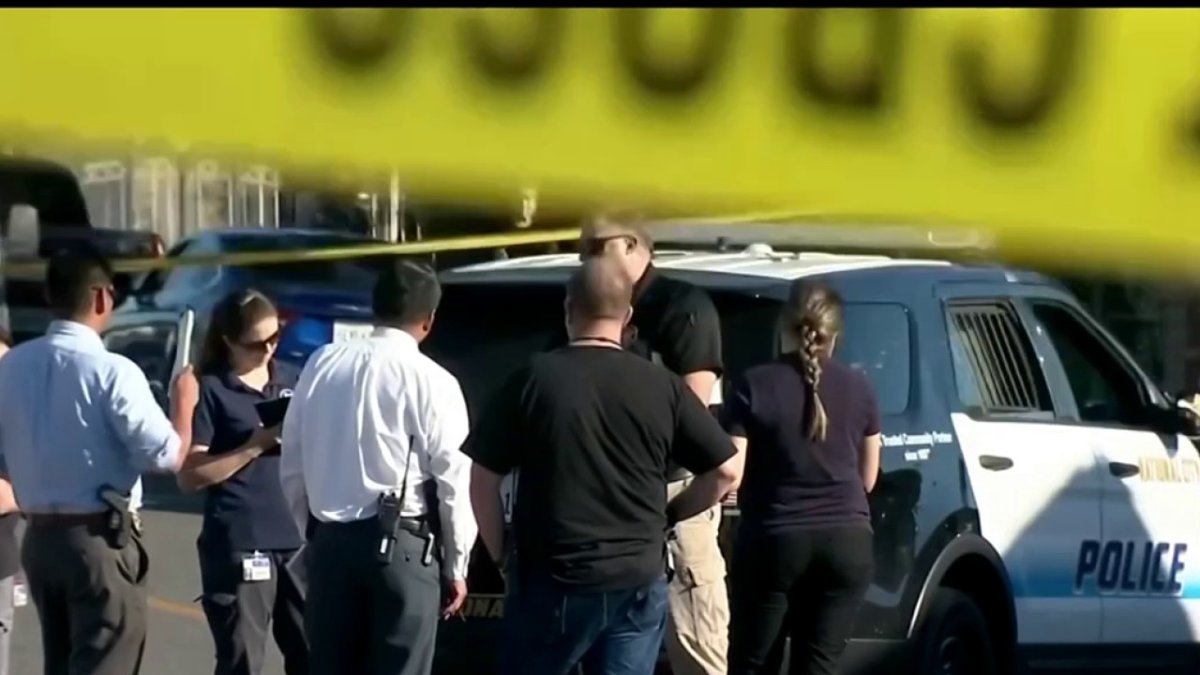 Teen Girl Pleads Not Guilty in Uber Driver Death – NBC Bay Area