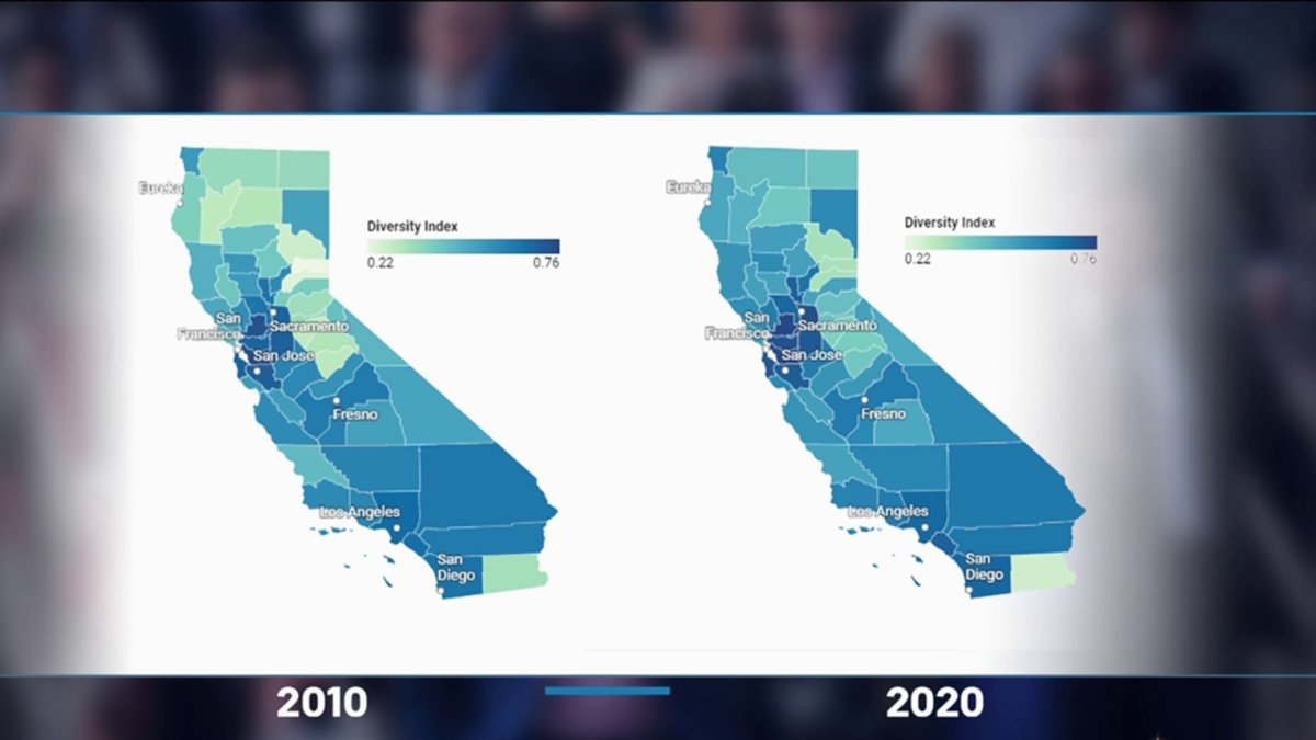 Diversity Grew in Bay Area Populations 2020 Census NBC Bay Area