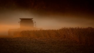 harvested soybeans near Wamengo, Kansas