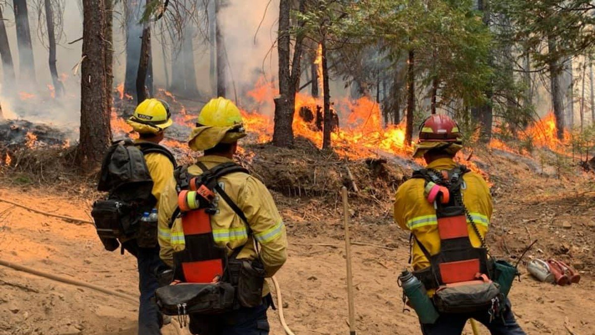 Unfavorable Forecast Threatens Caldor Fire in the Sierra Range - Vimarsana News