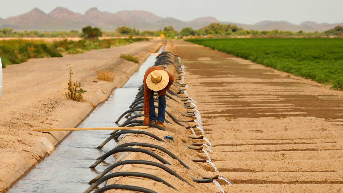 First Required Water Supply Cuts in US West to Hit Ariz. Farmers – NBC Bay Area - Vimarsana News