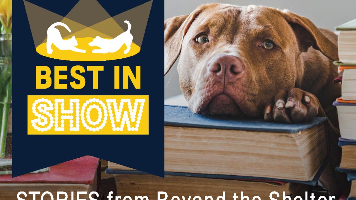 Berkeley Humane Best in Show: Call for Entries - Vimarsana News