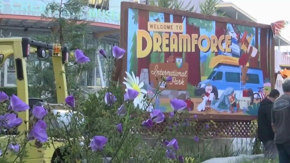 Dreamforce Returns to San Francisco With Some Changes NBC Bay Area
