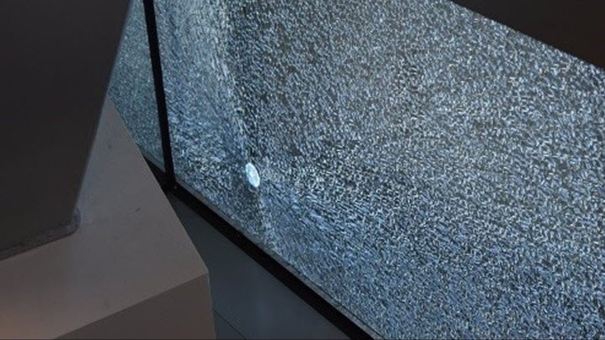 20K Reward Offered for Serial Slingshot Shooter Along Highway 87 in