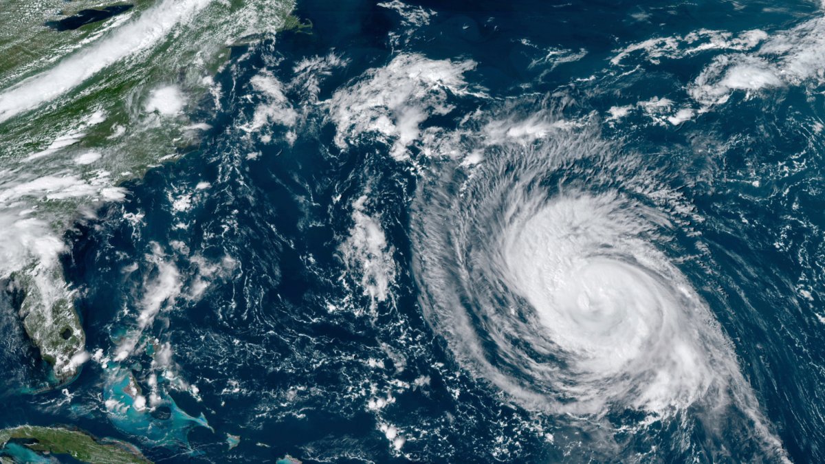 Hurricane Larry Wipes Out Power, Trees in Newfoundland - Vimarsana News