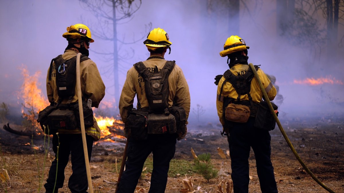 Climate Change Fuels California Emphasis on Preventing Fires NBC Bay Area