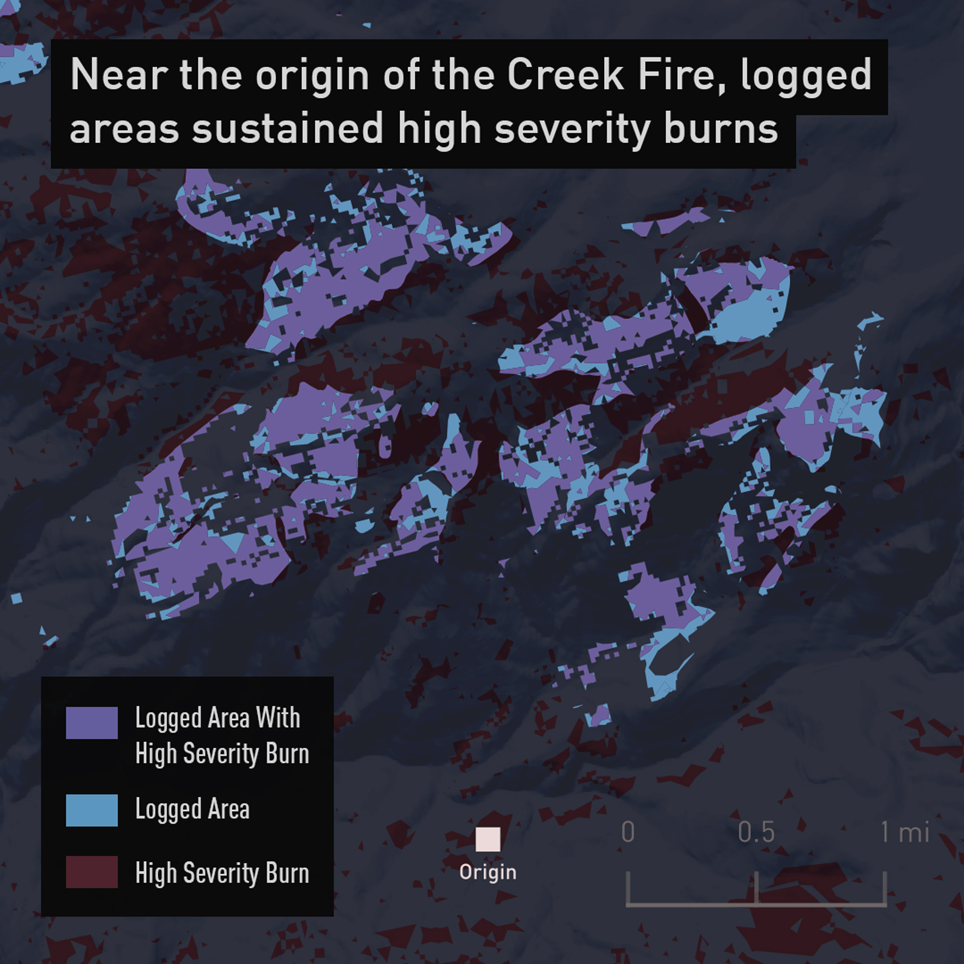 Near the origin of the Creek Fire, logged areas sustained high severity burns.