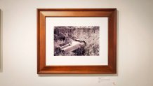 a framed photo on a wall depicts a garbage can lying on its side in a yard full of overgrown grass