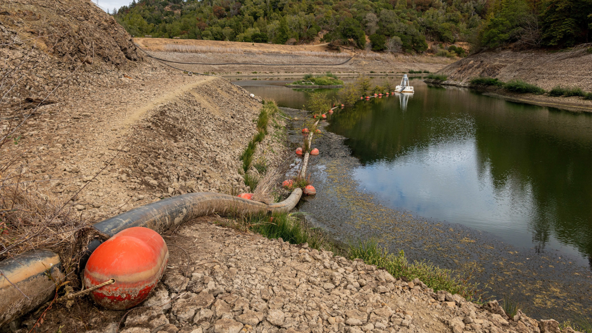Climate Change Makes Drought Recovery Tougher – NBC Bay Area - Vimarsana News
