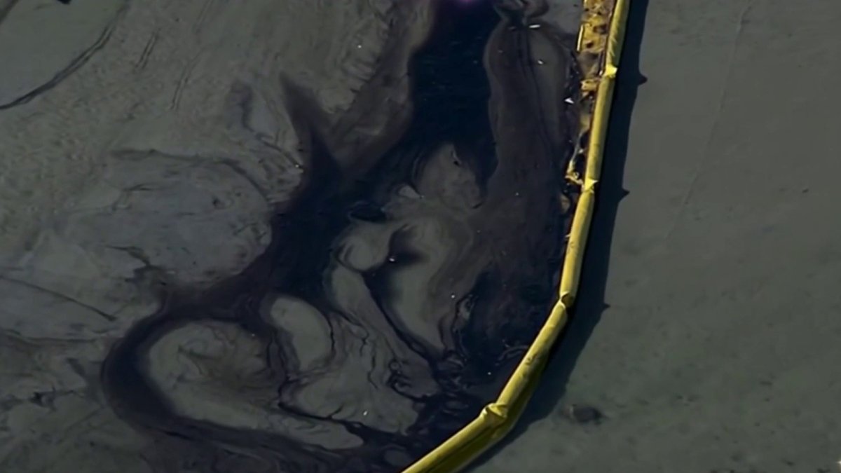 Norcal Environmental Groups Respond To Massive Oil Spill In Huntington