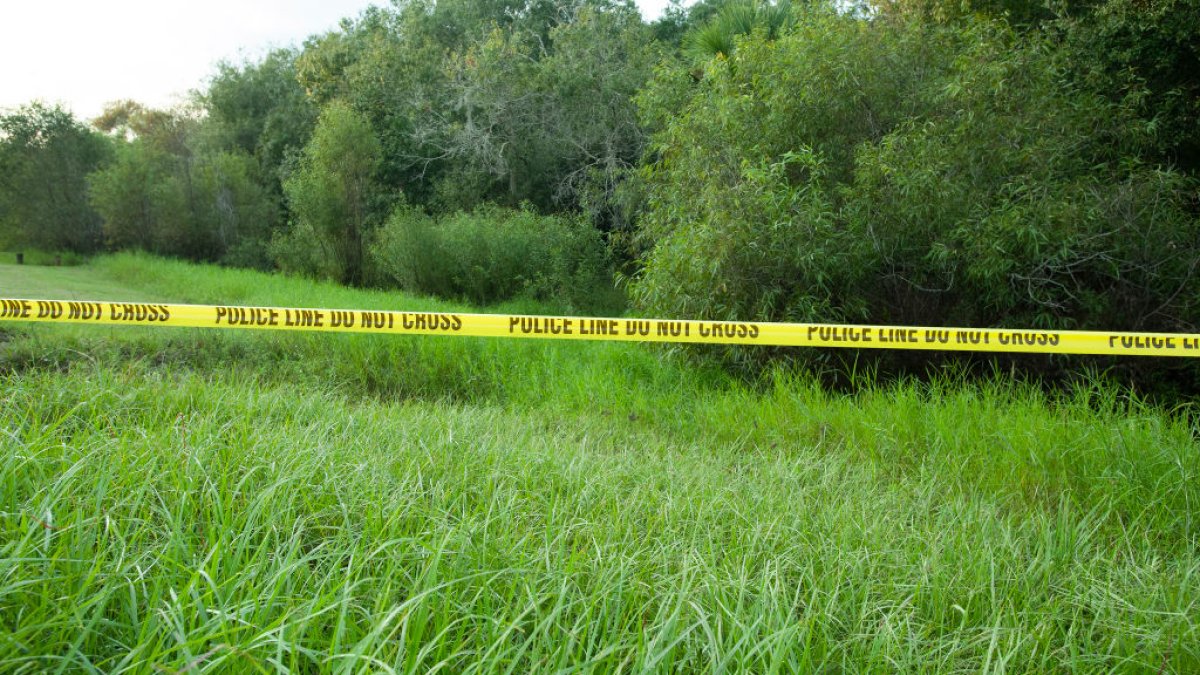 Remains Found at Brian Laundrie Search Site Are ‘Skeletal,' Includes Portion of Human Skull: Sources