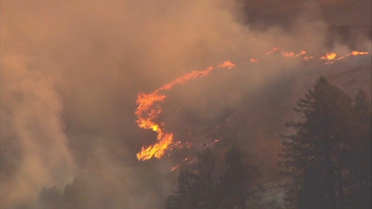 Estrada Fire in Santa Cruz County 60% Contained - Vimarsana News