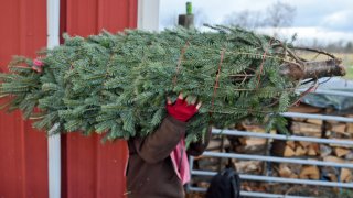 Christmas Tree