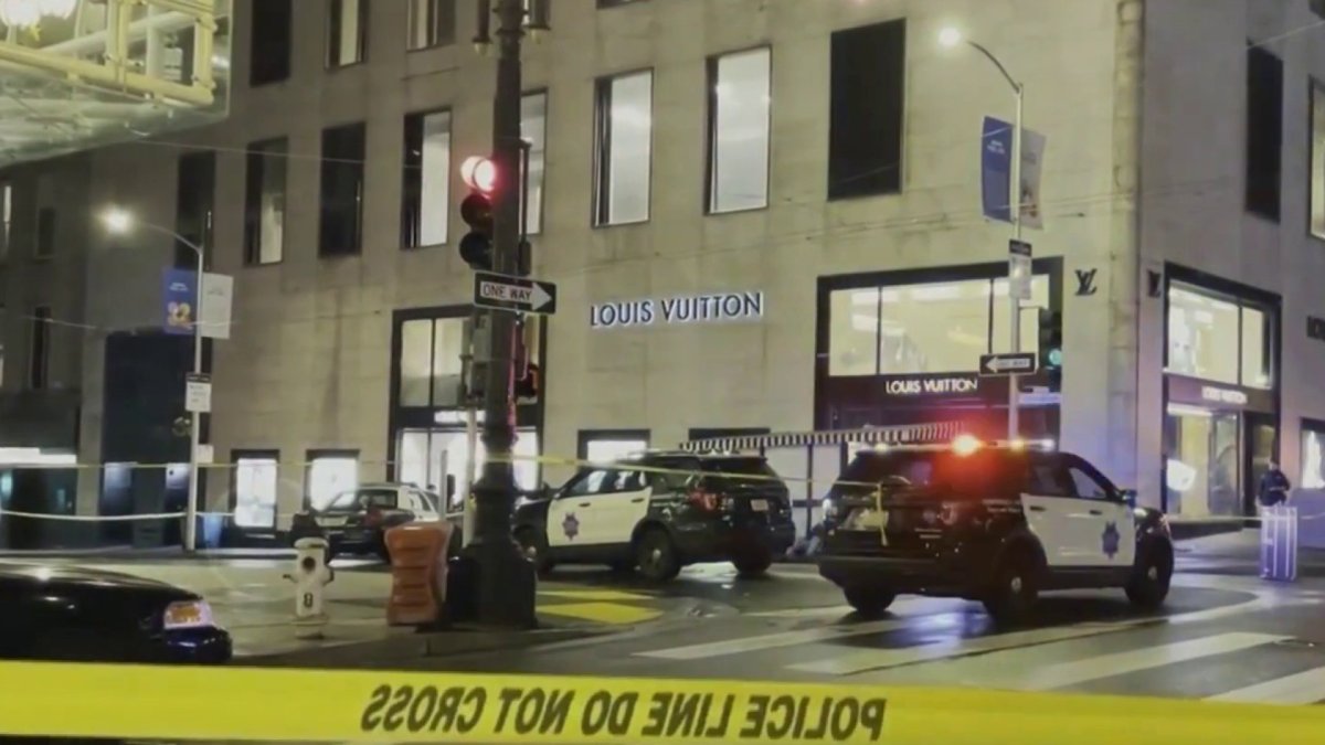 Thieves Swarm Louis Vuitton Store In Palo Alto, Steal $100,000 In Handbags;  11 Suspects Sought - CBS San Francisco