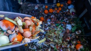 Cette photo présente une personne jetant ces déchets verts dans un composteur.