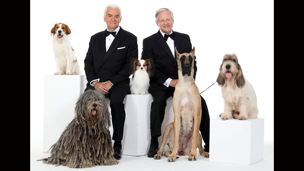 How to watch the 2023 ‘National Dog Show’ NBC Bay Area