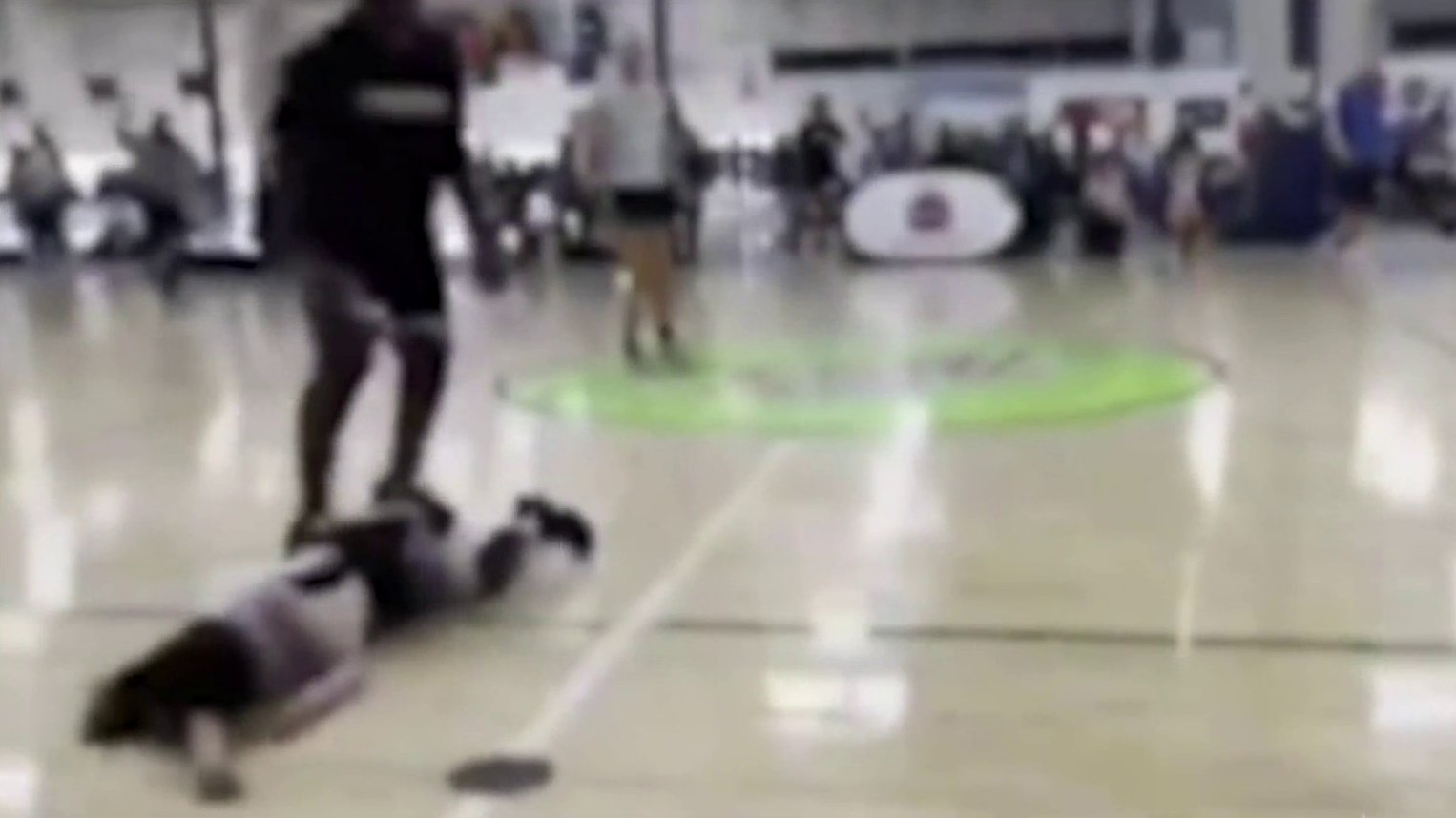 Mother Who Told Daughter to Punch Teen Basketball Player in Viral Sucker Punch Video is Fined - Vimarsana News