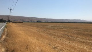 The Coyote Valley Conservation Area located between the Santa Cruz Mountains and the Diablo Range at the southern edge of San Jose, Calif. (Open Space Authority via Bay City News)