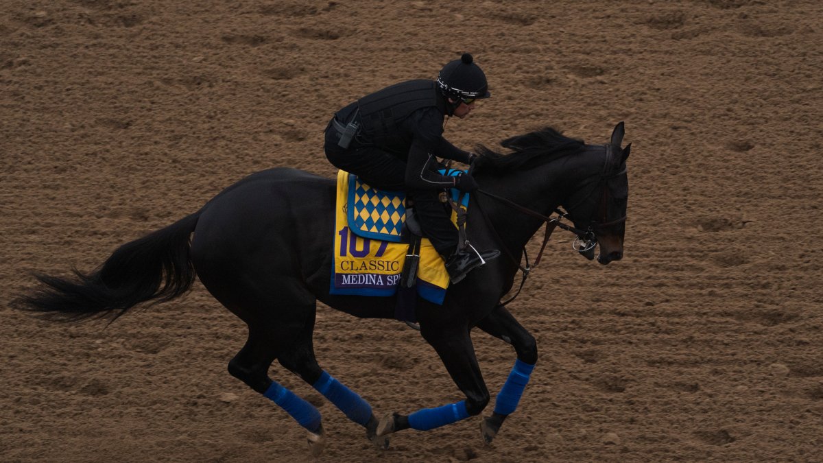 Medina Spirit, 2021 Kentucky Derby Winner, Dies At Santa Anita Park NBC Bay Area