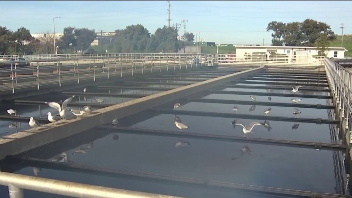 Bay Area Scientists Test Wastewater to Detect Omicron - Vimarsana News