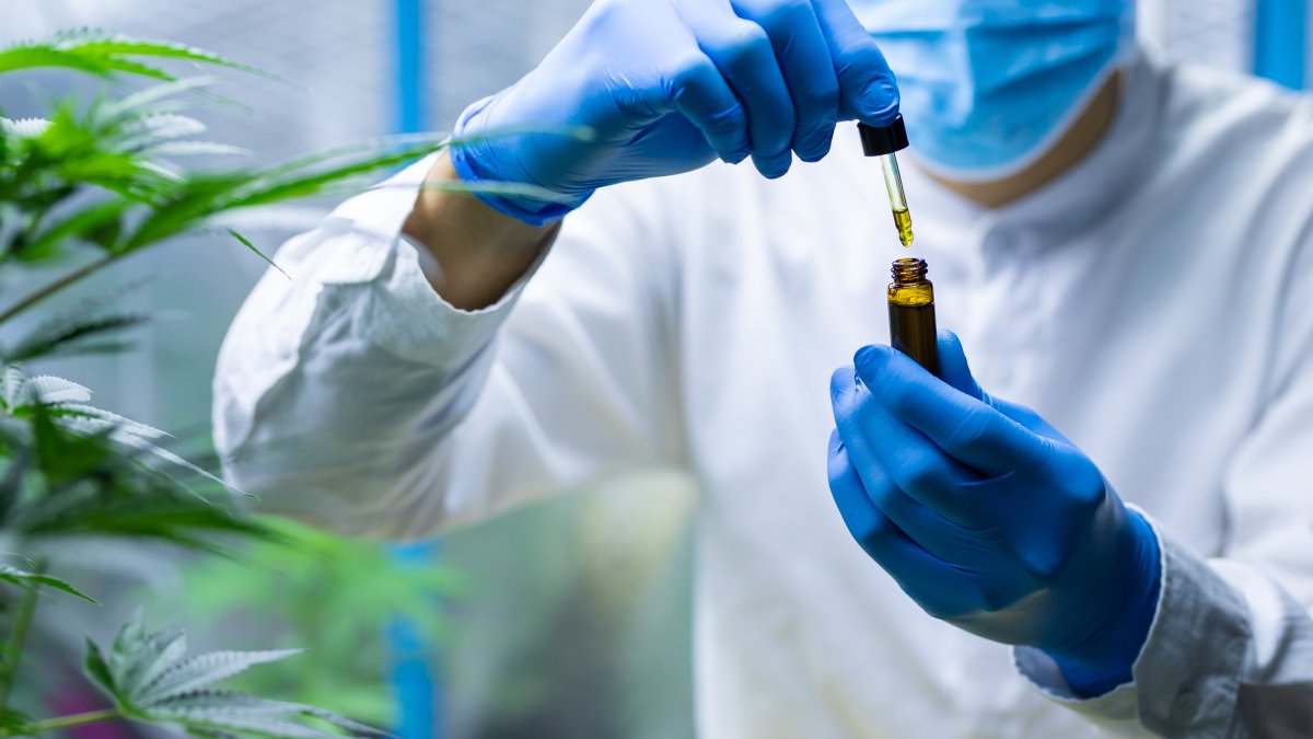COVID-19 & Cannabis: Study Finds Hemp Compounds Prevent Coronavirus Infection – NBC Bay Area - Vimarsana News