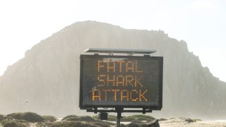 A sign on Embarcadero announces the cause of a water closure. The water was closed north of Morro Rock after a fatal shark attack, Dec. 24, 2021.
