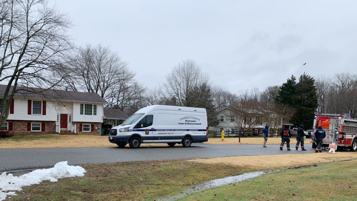 Maryland Man Found in Home With 100+ Snakes Died of Snake Bite – NBC Bay Area - Vimarsana News