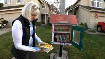 After Little Free Libraries “Cleaned Out,” Community Responds With Donations