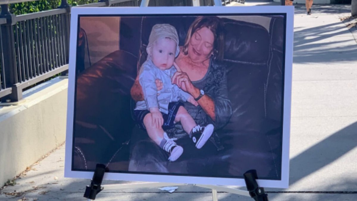 Woman Who Fell From Drawbridge Identified as Family Demands Answers - Vimarsana News