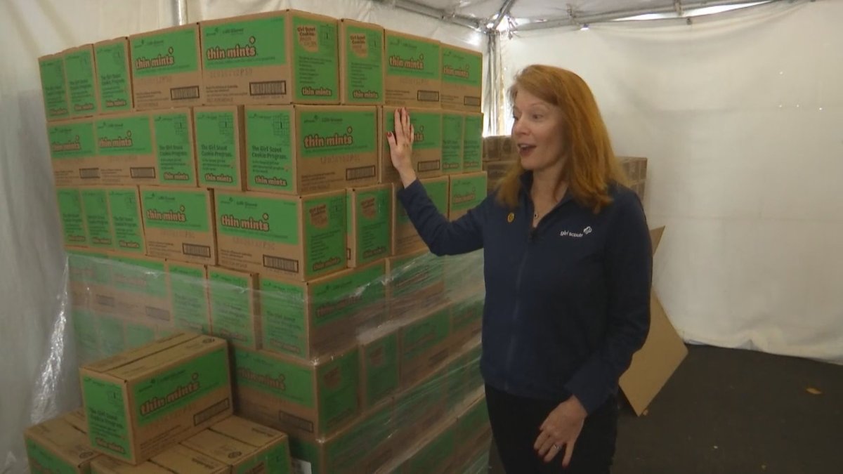 Girl Scout Cookies Latest Victim of Supply Chain Issues - Vimarsana News