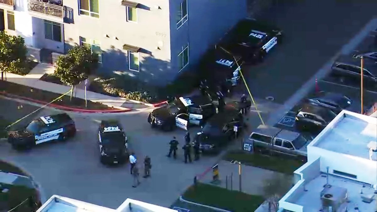 Pleasanton Police Fatally Shoot Armed Suspect in Domestic Violence Case