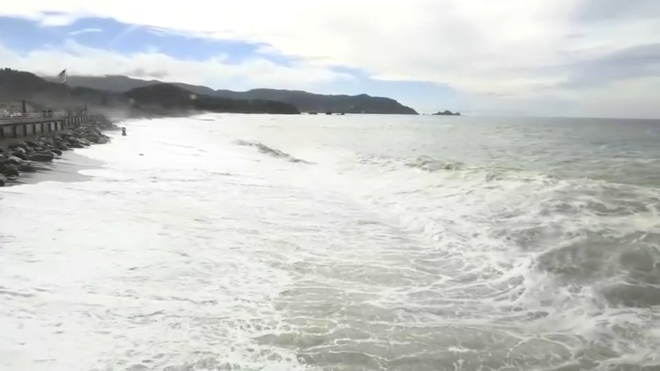 Study Finds Marine Warming is Damaging Ecosystems - Vimarsana News