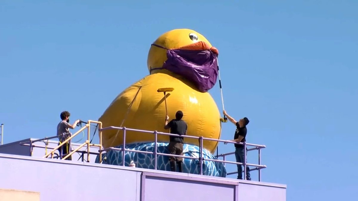Inflatable Duck Atop San Jose Museum Gets a Bath – NBC Bay Area