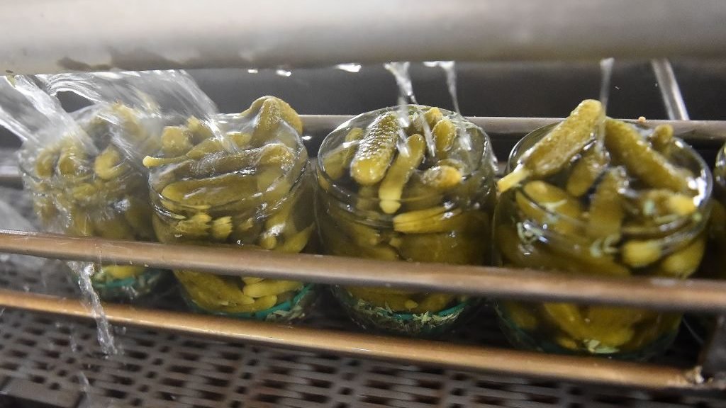 Central Florida Teacher Charged for Allegedly Biting Students Over Jar of Pickles – NBC Bay Area - Vimarsana News