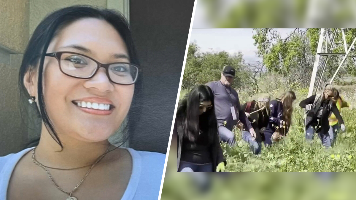 Search for Missing Oakley Woman Alexis Gabe Continues in Brentwood – NBC  Bay Area