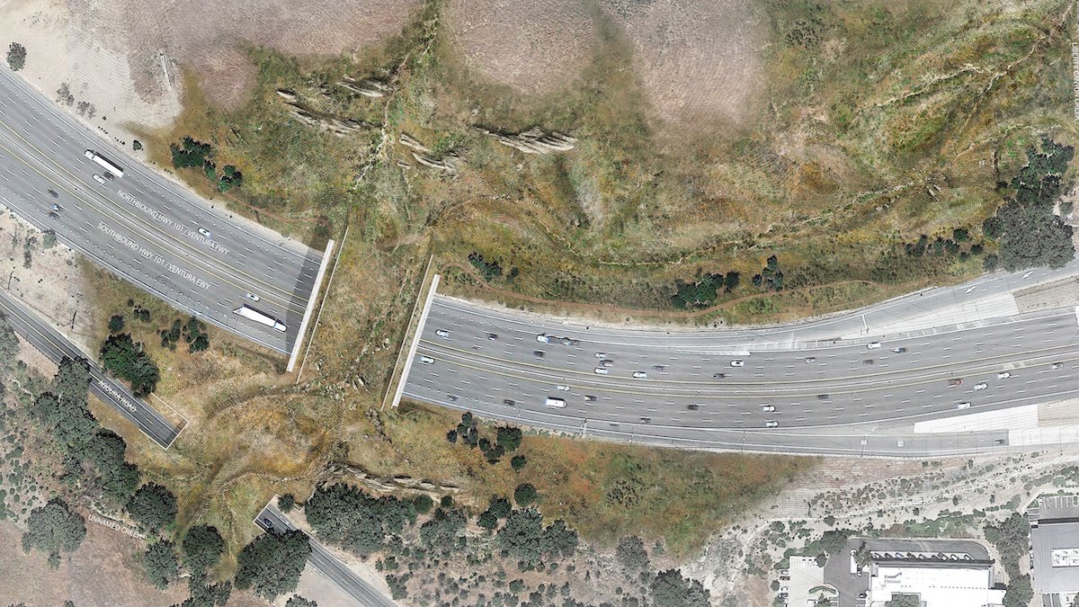 See Renderings of the 101 Freeway Wildlife Crossing – NBC Bay Area - Vimarsana News