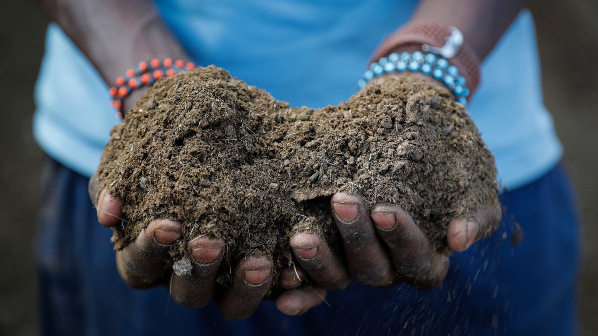 Russian War Worsens Fertilizer Crunch, Risking Food Supplies – NBC Bay Area - Vimarsana News
