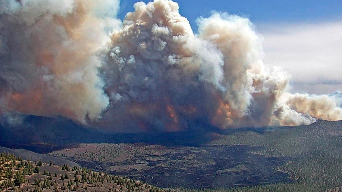 Arizona Wildfire Doubles in Size Near College Town – NBC Bay Area - Vimarsana News