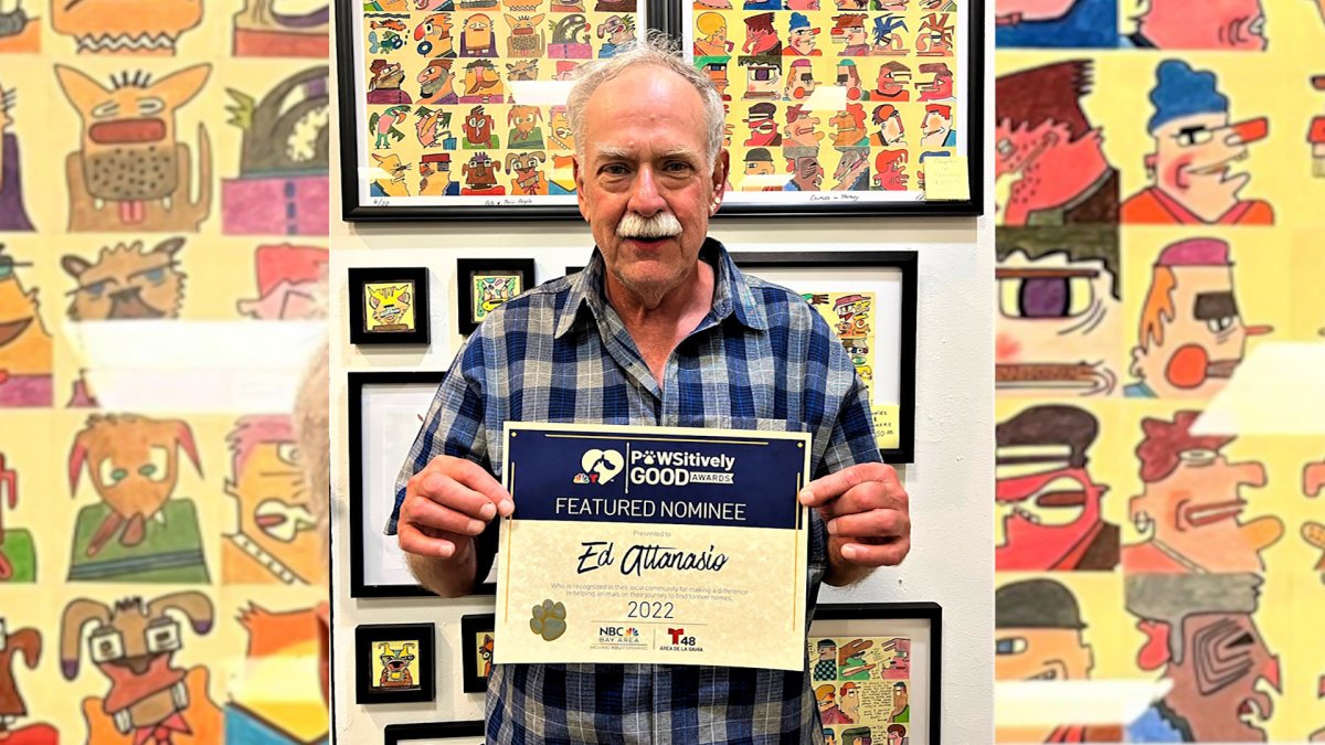 Meet the 'Post-It Picasso' Nominated for the Pawsitively Good Awards! – NBC Bay Area - Vimarsana News
